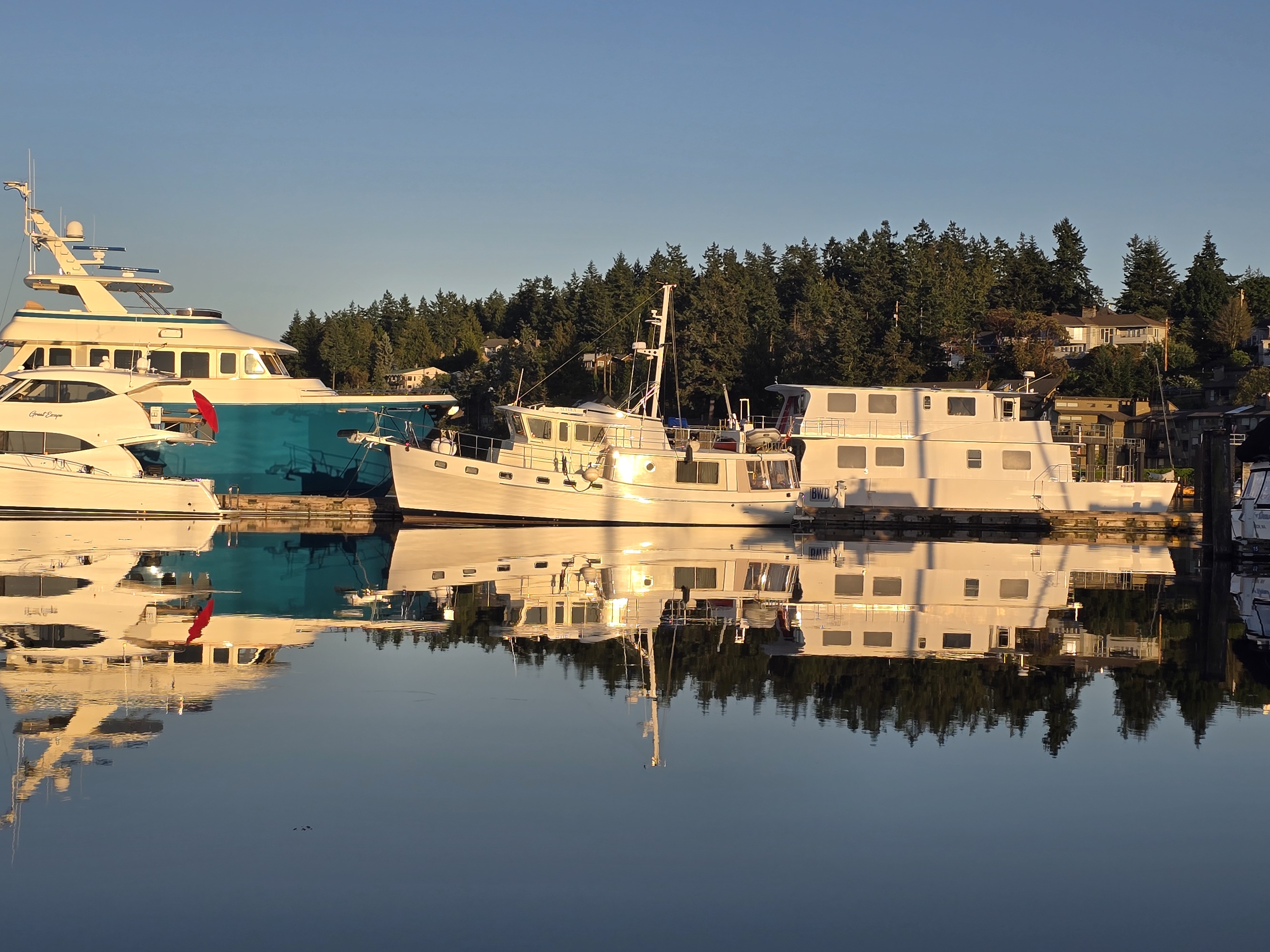 Reflections & Mirrors